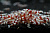 Креветка Red Cristall